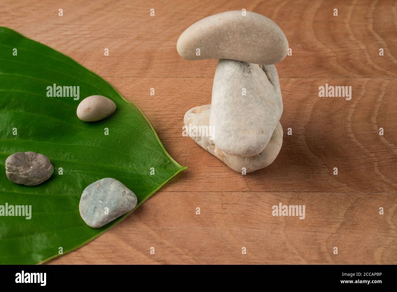 Green Leaves, Roadway Hosts and Stones of Various Velecheny, on the Background of a Wooden Board Stock Photo