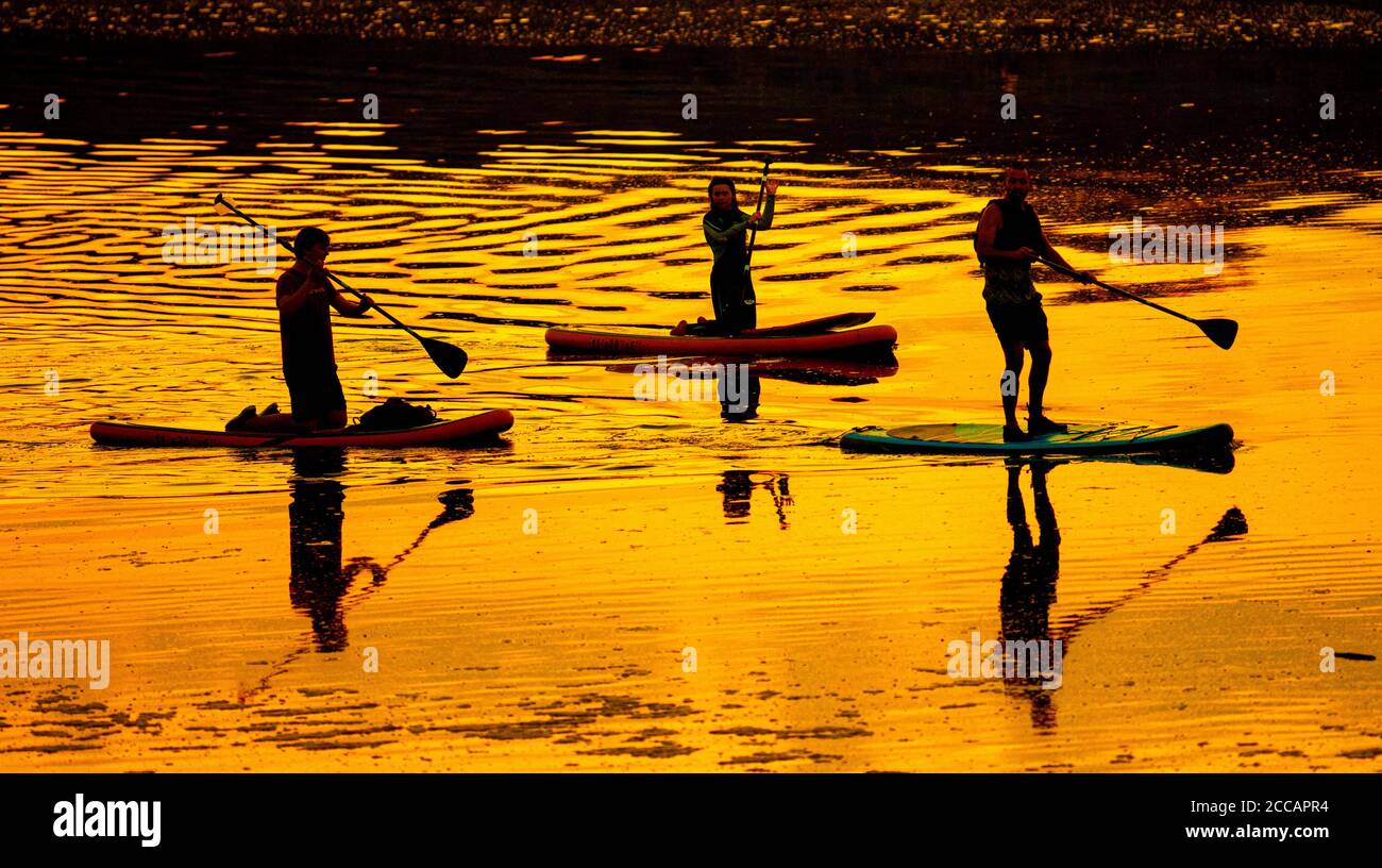 OGMORE BY SEA - WALES 20 AUG: People using Stand up Paddleboards on the river Ogmore at sunset, Ogmore by Sea, Wales on the 20th August 2020. Photo by Stock Photo