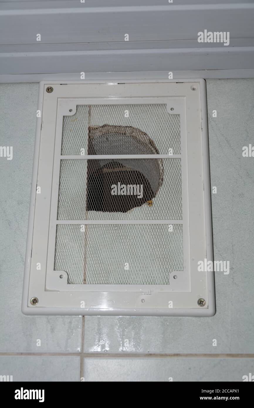 Clean ventilation. Room cleaning service. Details of ventilation in the