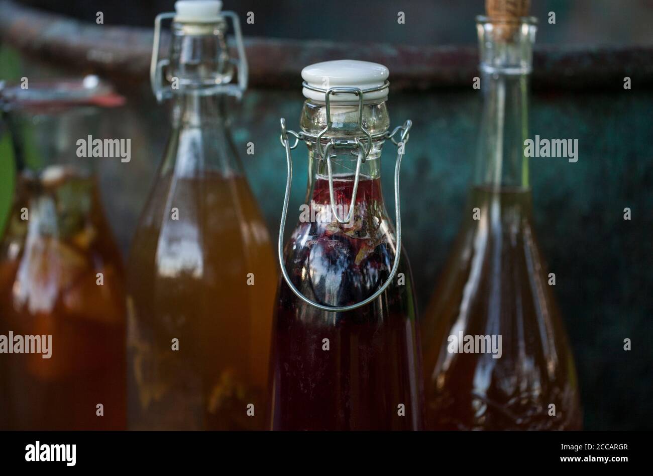 Kombucha second fermented fruit tea with different flavorings. Healthy natural probiotic flavored drink Stock Photo