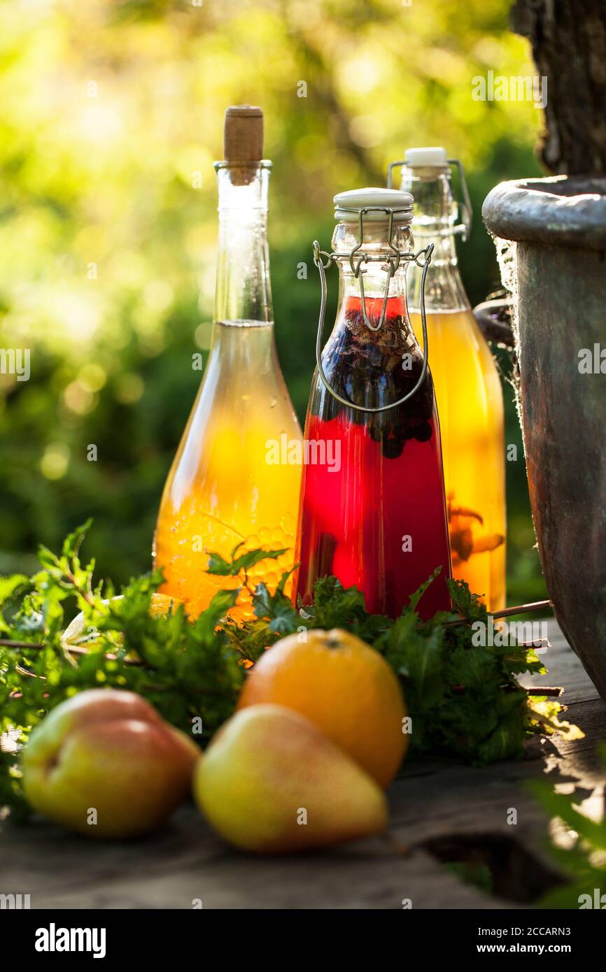 Kombucha second fermented fruit tea with different flavorings. Healthy natural probiotic flavored drink Stock Photo