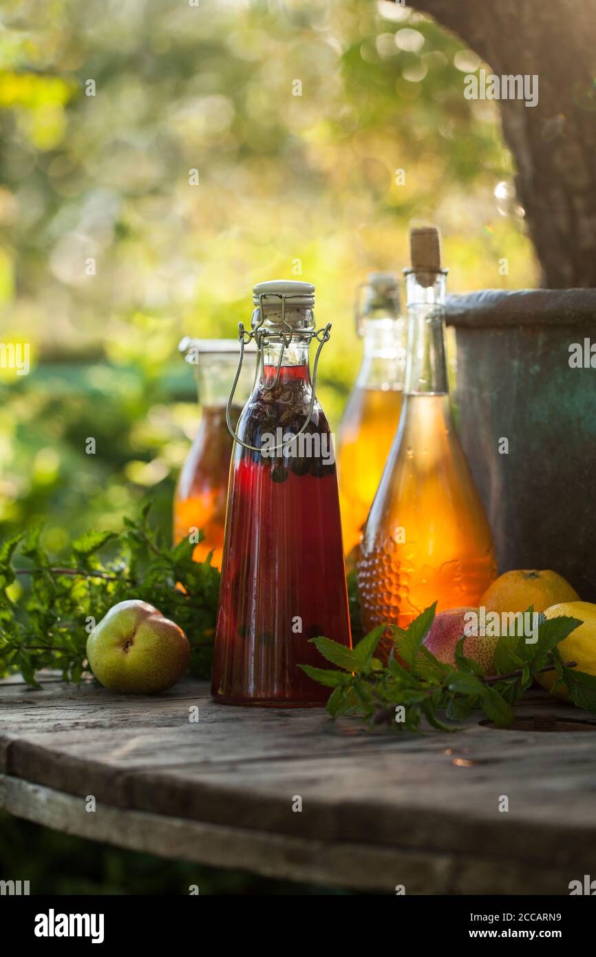 Kombucha second fermented fruit tea with different flavorings. Healthy natural probiotic flavored drink Stock Photo