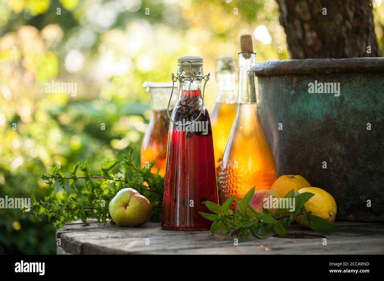 Kombucha second fermented fruit tea with different flavorings. Healthy natural probiotic flavored drink Stock Photo