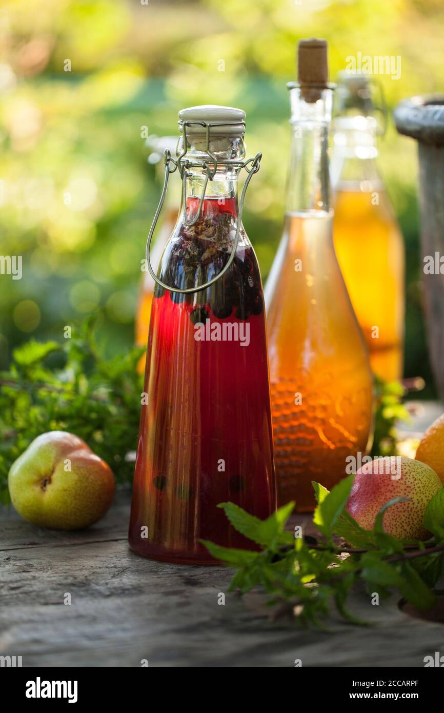 Kombucha second fermented fruit tea with different flavorings. Healthy natural probiotic flavored drink Stock Photo