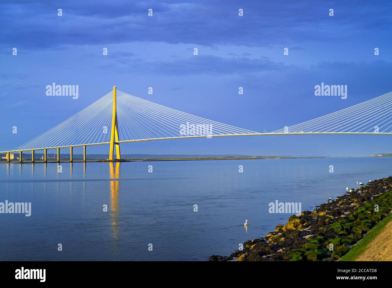 Pont de Normandie / Bridge of Normandy, cable-stayed road bridge over the river Seine linking Le Havre to Honfleur, Normandy, France Stock Photo