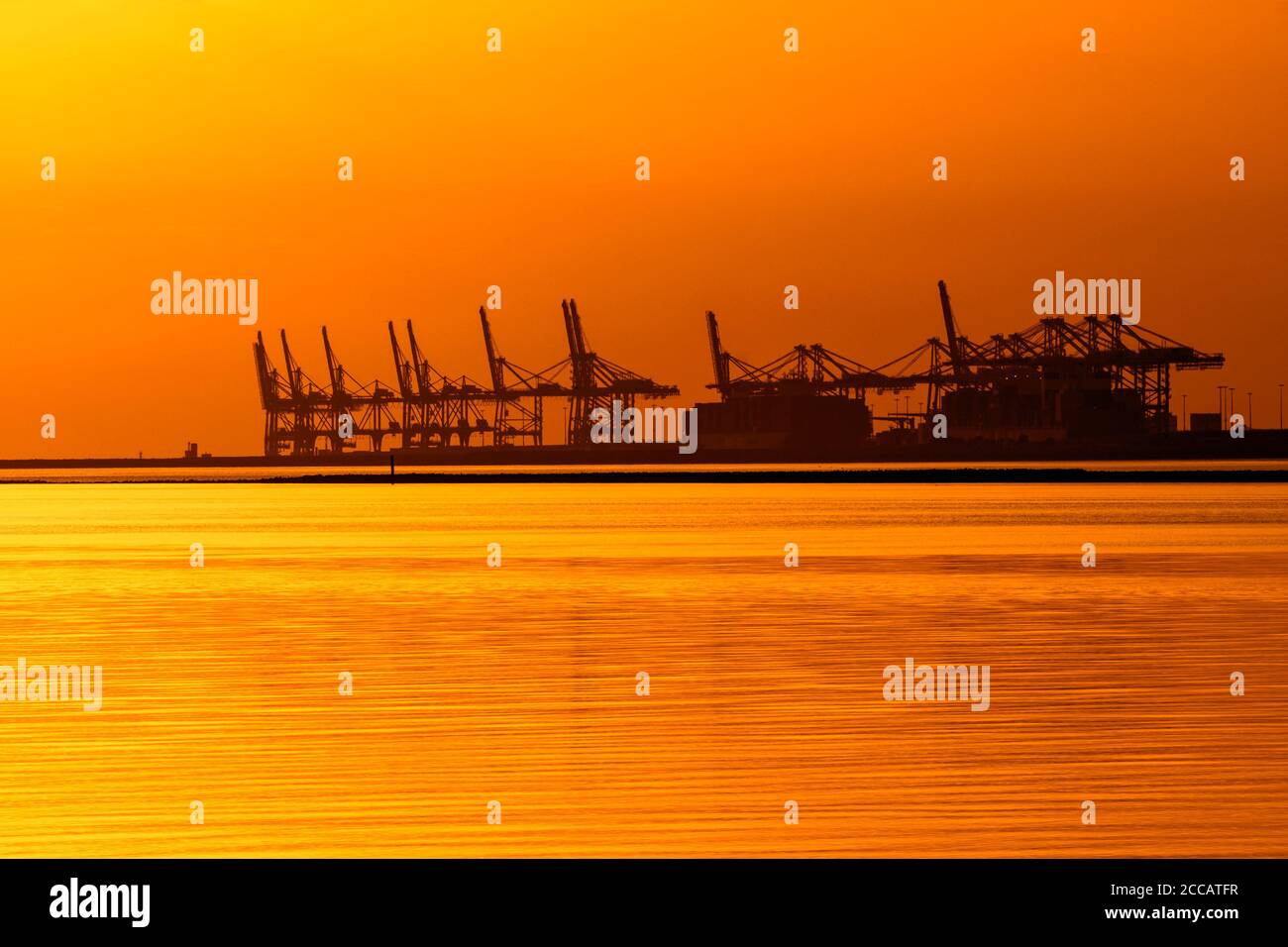 Gantry cranes at container terminal in the seaport of Le Havre silhouetted against sunset, Seine-Maritime, France Stock Photo