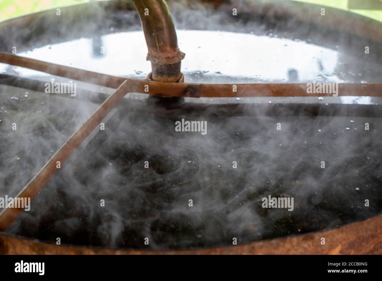 Distillation apparatus with cooler for making distillate. Homemade distillery making Rakija or