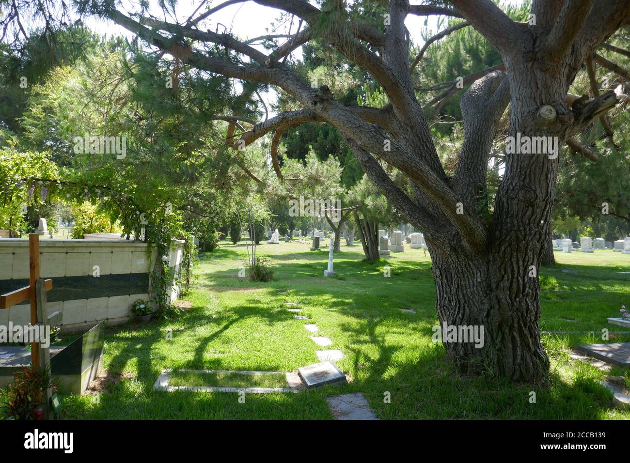 Hollywood, California, USA 17th August 2020 A general view of atmosphere at Hollywood Forever Cemetery on August 17, 2020 in Hollywood, California, USA. Photo by Barry King/Alamy Stock Photo Stock Photo