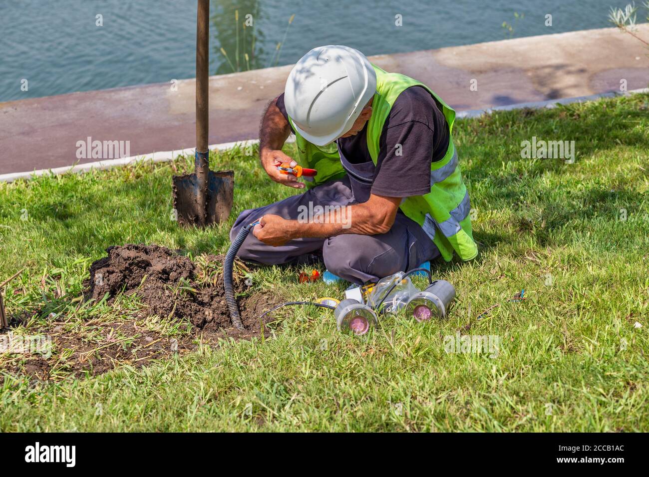 Outdoor installing ground spots lights at bottom of tree, low voltage landscape lighting tree