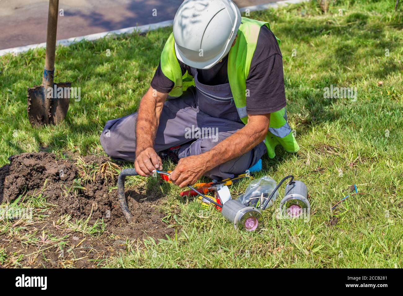 Worker installing outdoor ground spots lights at bottom of tree, low voltage landscape lighting