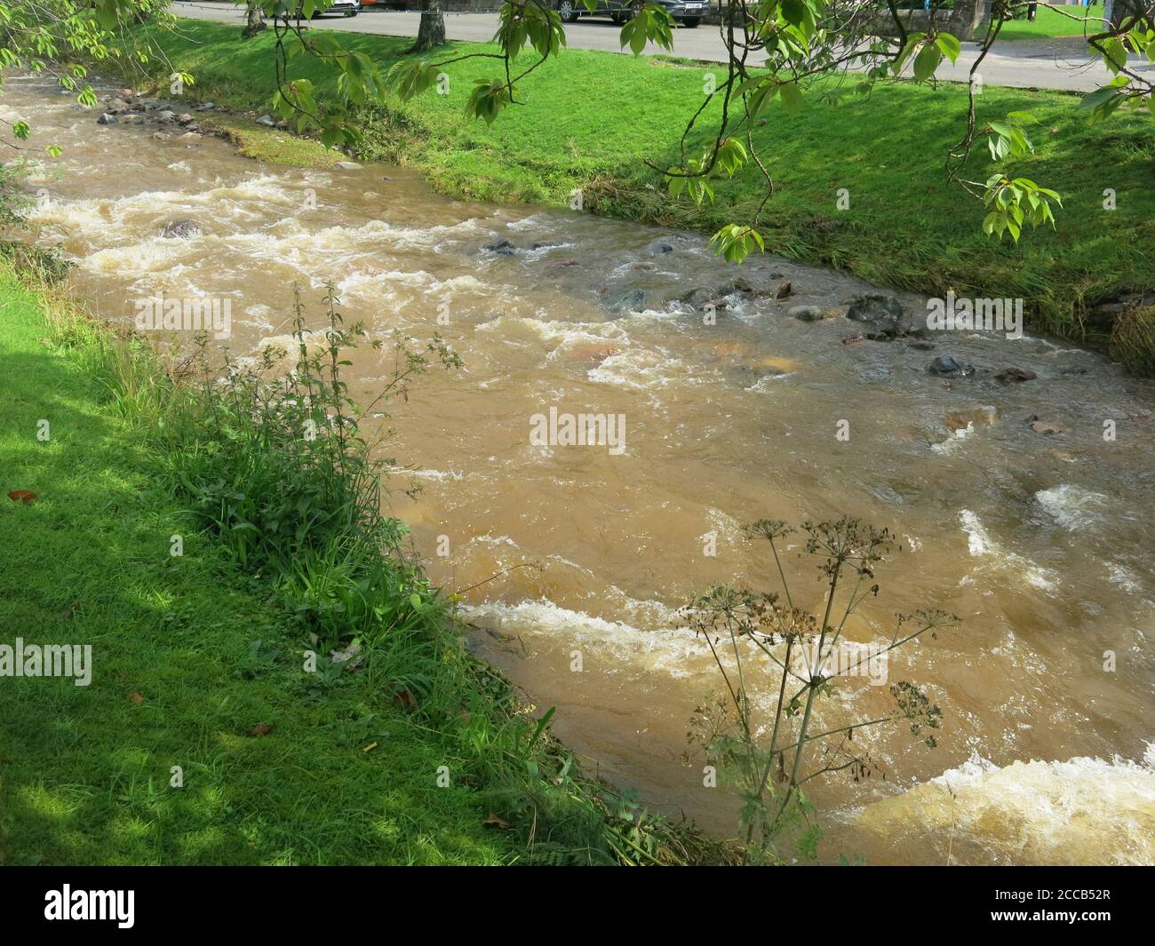 Dollar Burn flows through the town of the same name, and after heavy rainfall, there's a lot of water coming down off the Ochil Hills; August 2020 Stock Photo