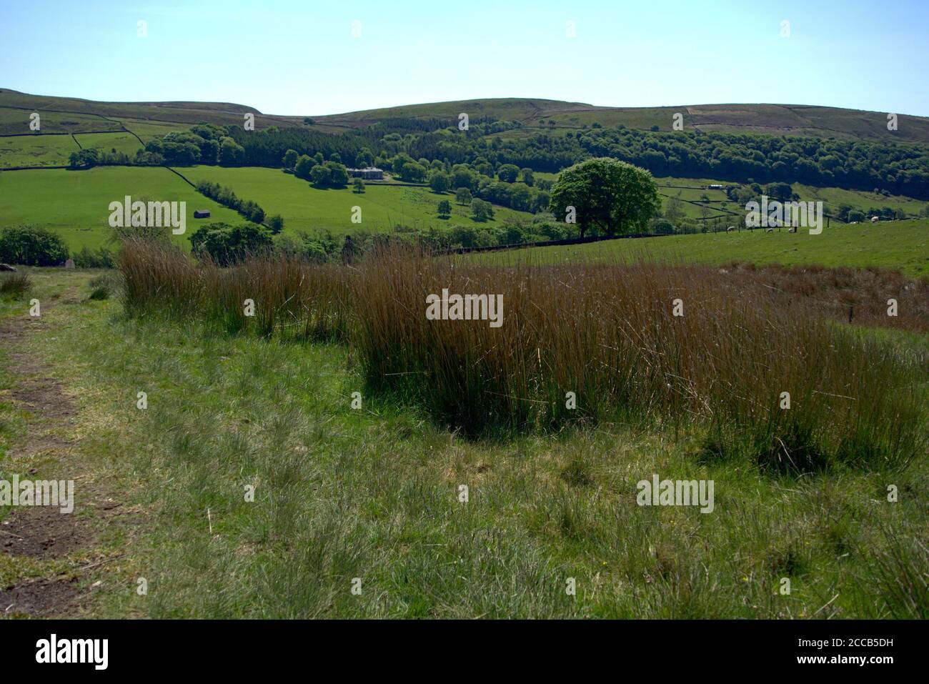 Overlooking many peaceful fields of the English countryside Stock Photo