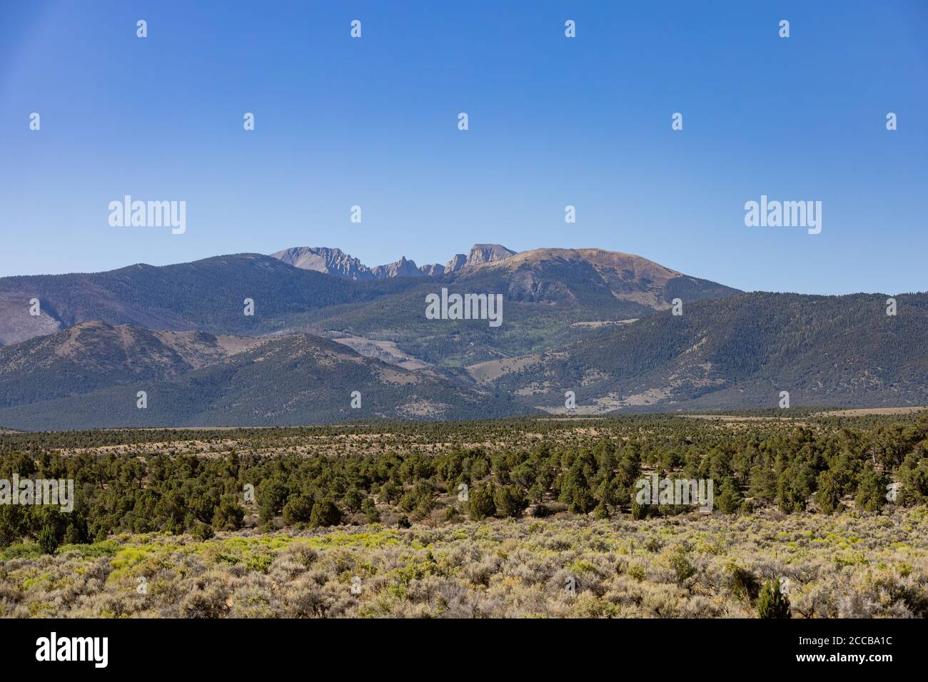 Sunny view of the beautiful Wheeler Peak at Great Basin National Park, Nevada Stock Photo