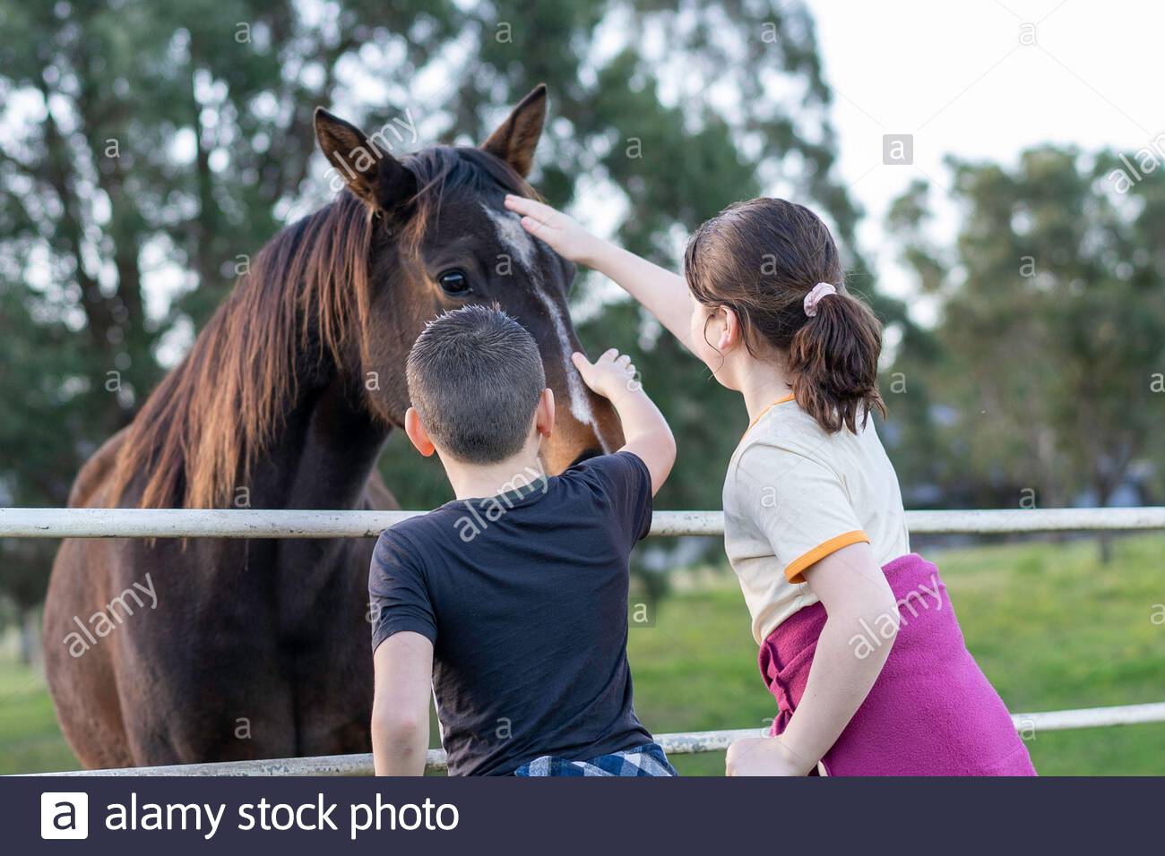 Patting Head High Resolution Stock Photography and Images Alamy