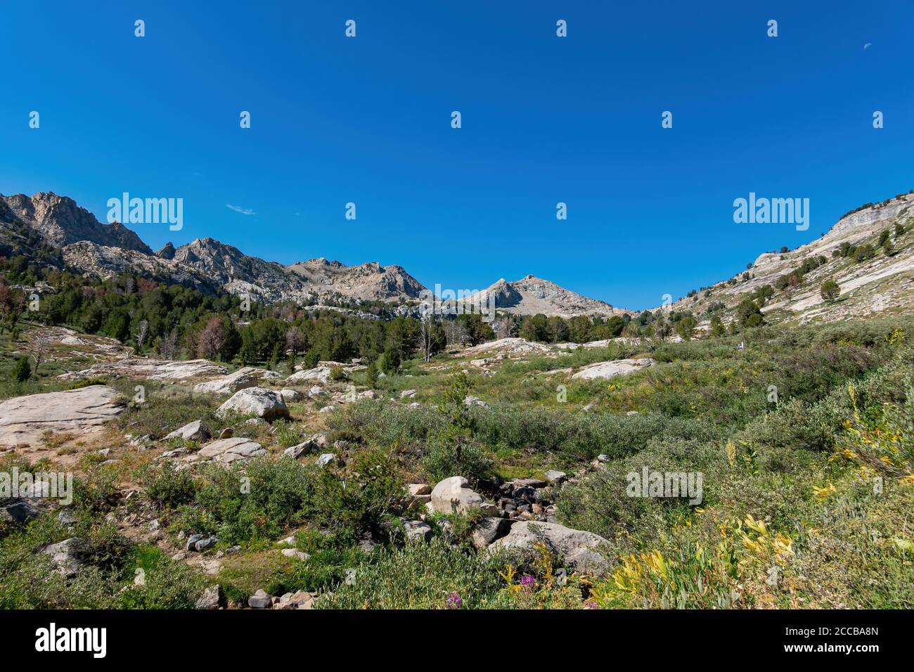 Morning view of the beautiful landscape around the Ruby Crest Trail of Ruby Mountain at Nevada Stock Photo