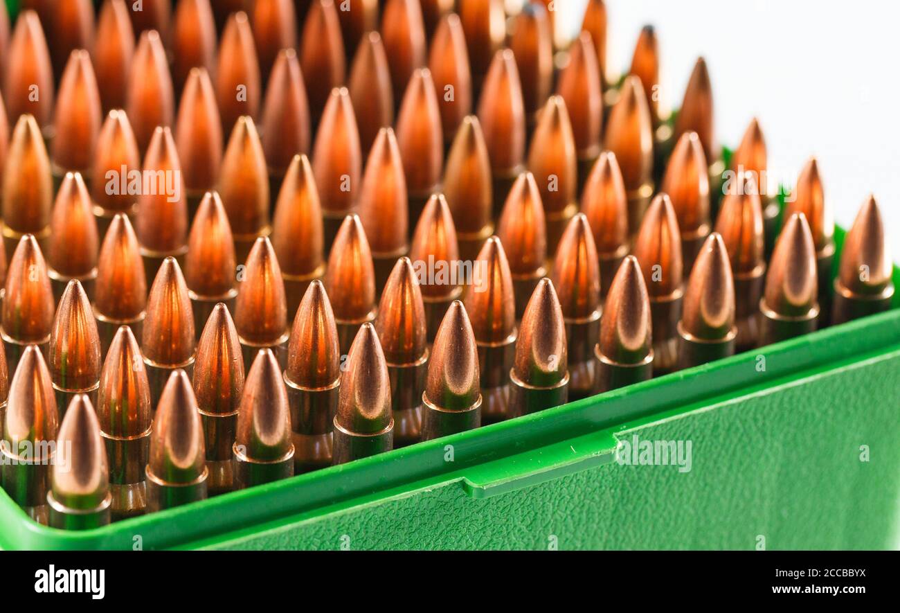Hunting cartridges in a plastic box. Bullet storage box Stock Photo - Alamy