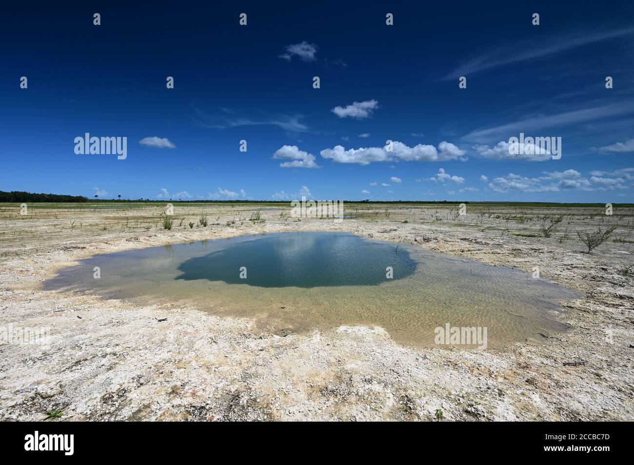 Summer clouds over Hole-in-the-Donut habitat restoration project in Everglades National Park, Florida. Stock Photo