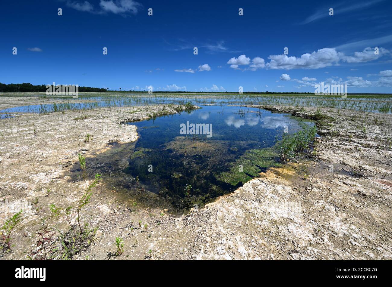 Summer clouds over Hole-in-the-Donut habitat restoration project in Everglades National Park, Florida. Stock Photo