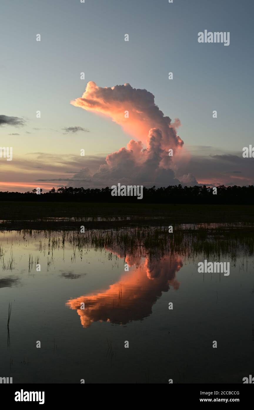 Summer clouds over Hole-in-the-Donut habitat restoration project in Everglades National Park, Florida at sunset. Stock Photo