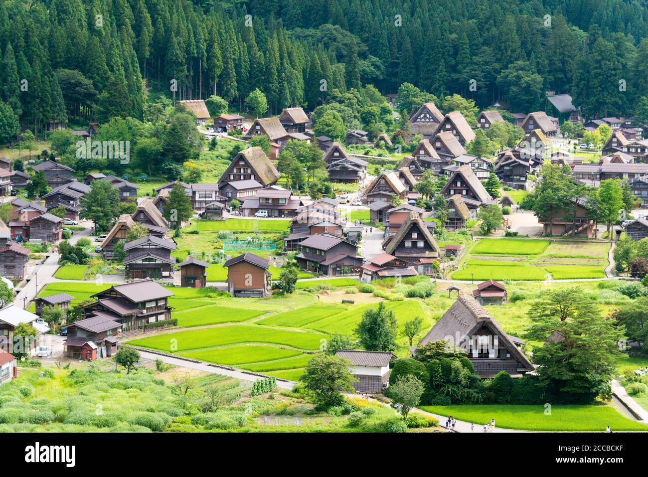 Gifu, Japan Gasshozukuri houses at Ogimachi Village in Shirakawago