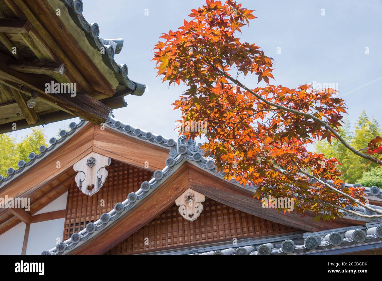 Kyoto, Japan Suzumushi Temple in Kyoto, Japan. The temple was founded