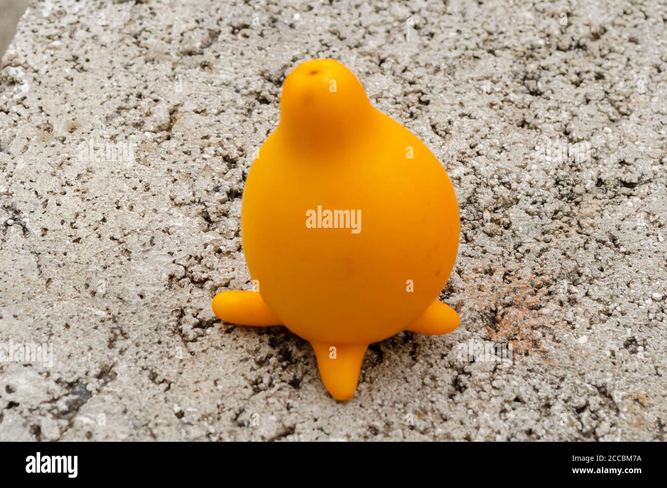 Garden egg On concrete Block Stock Photo