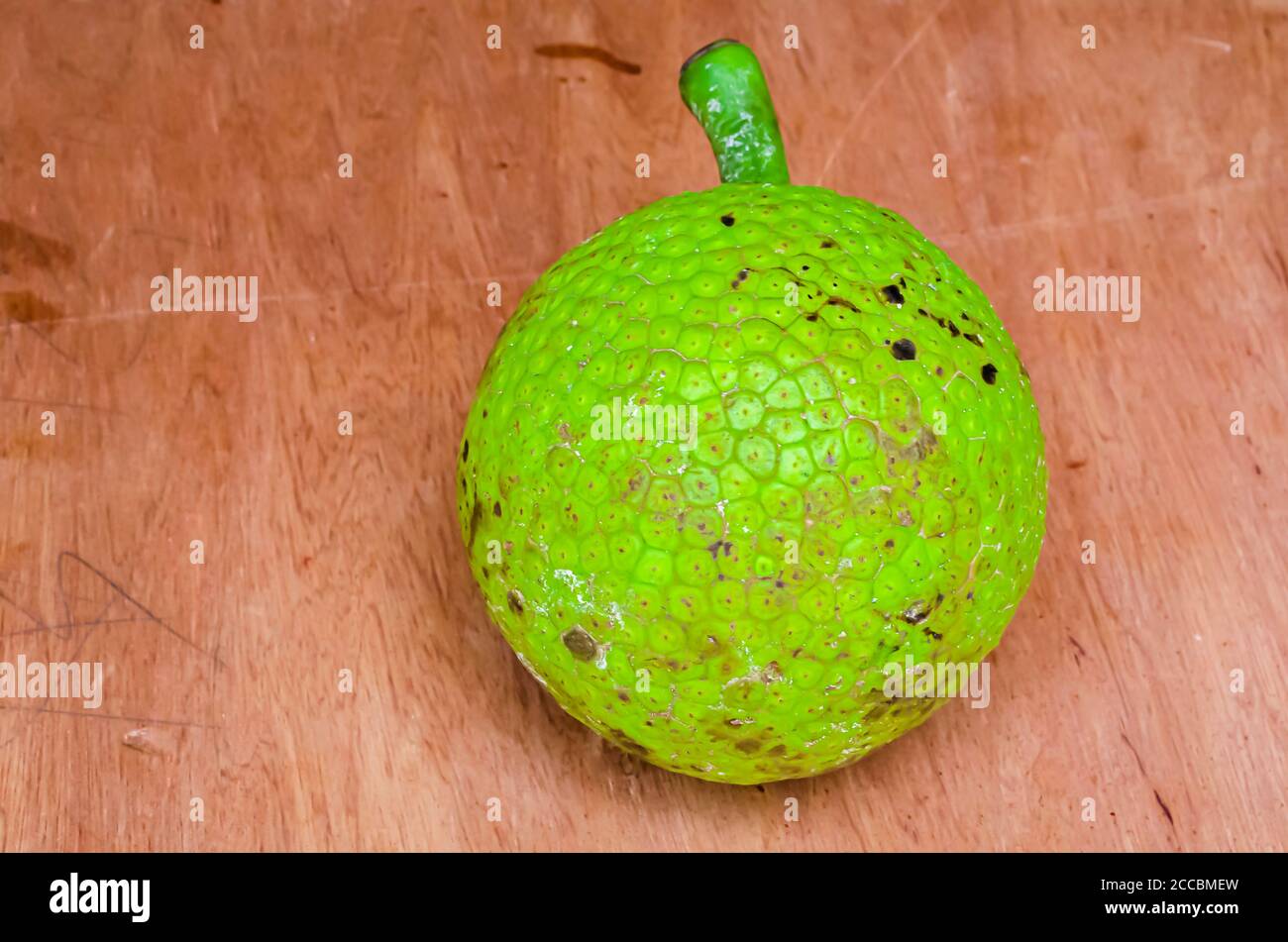 Isolated Whole Breadfruit Stock Photo
