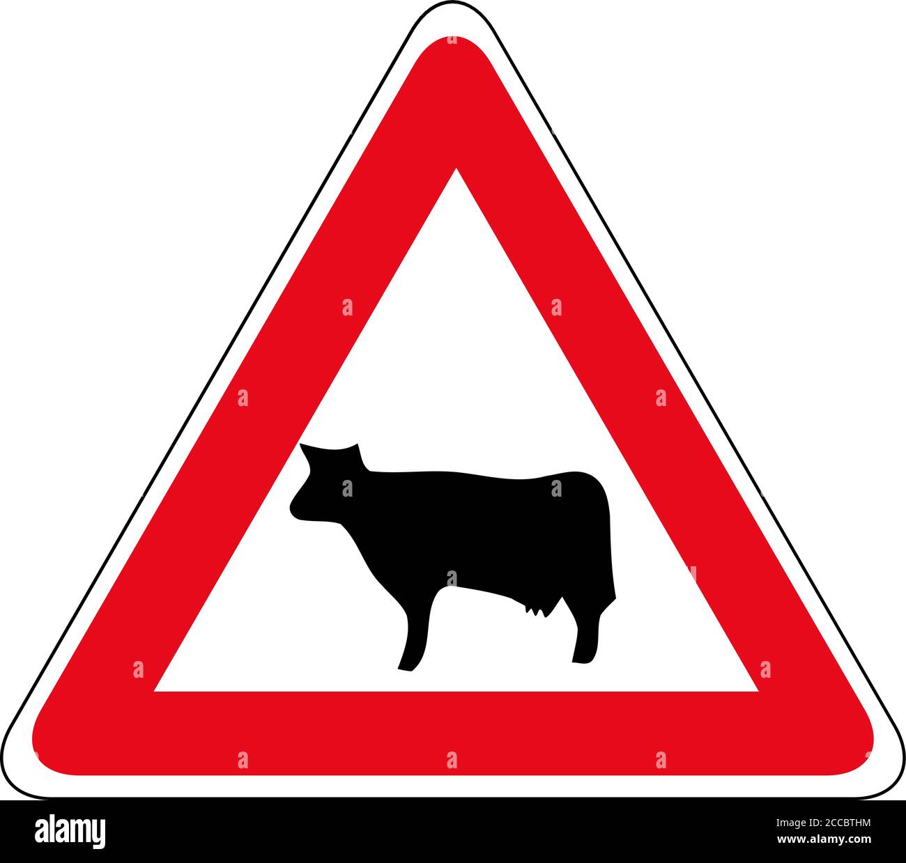 Cattle crossing warning road sign. Vector illustration of cow caution traffic sign. Farm hazzard attention red triangle mark. Stock Vector