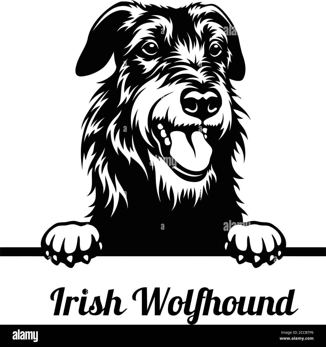 Peeking Dog - Irish Wolfhound breed - head isolated on white Stock Vector