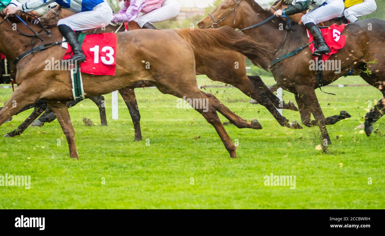 Horse racing outdoor derby with jockeys heading to finish line. Outdoor ...
