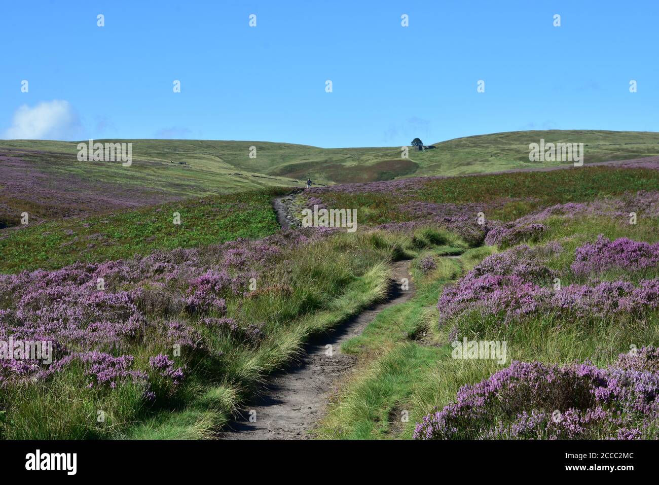 Haworth Moor main image 1