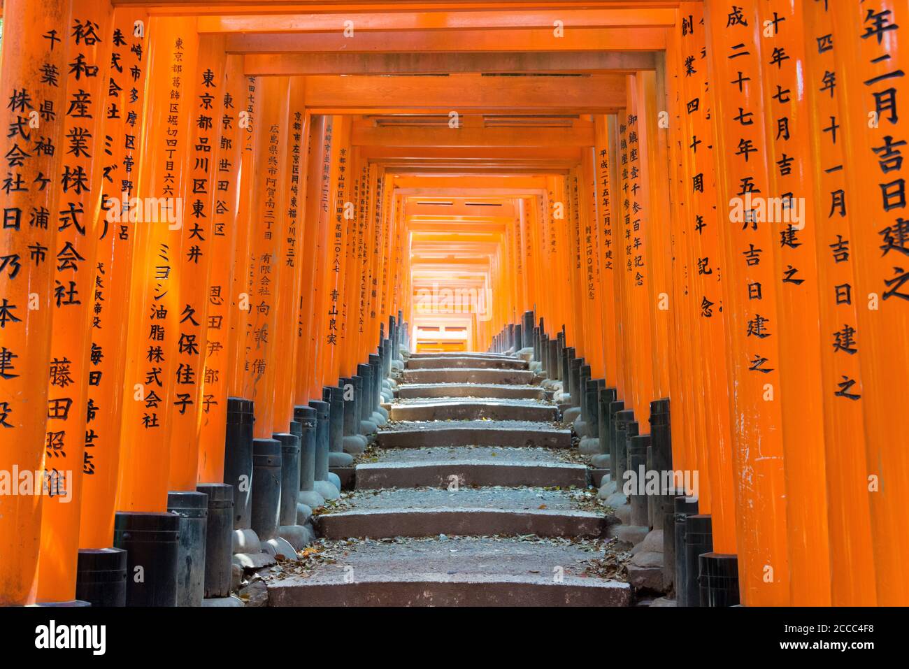 Kyoto Japan Red Torii Gate At Fushimi Inari Taisha Shrine In Fushimi Kyoto Japan Stock Photo Alamy