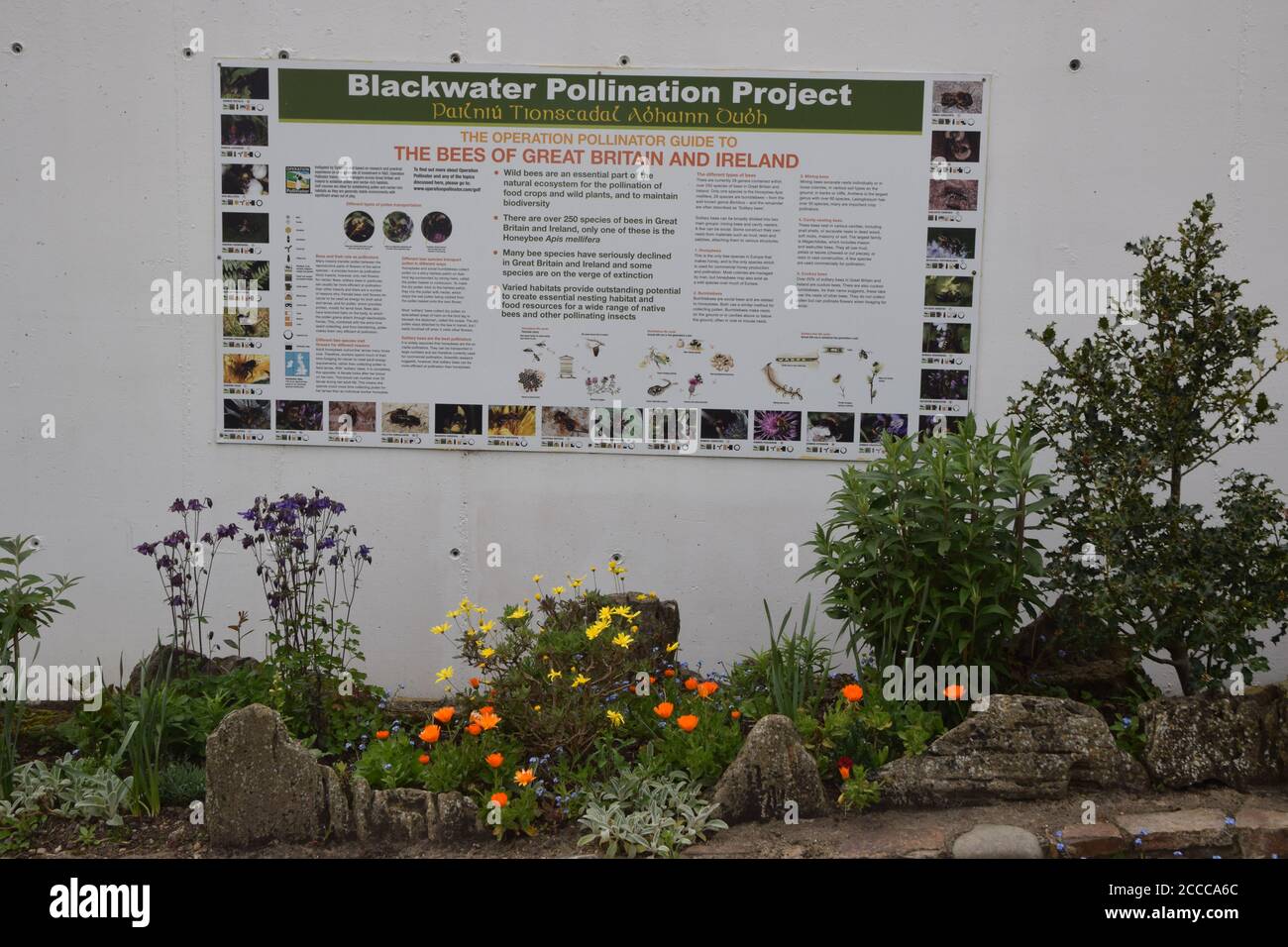 pollination project, blackwater, county wexford, ireland Stock Photo