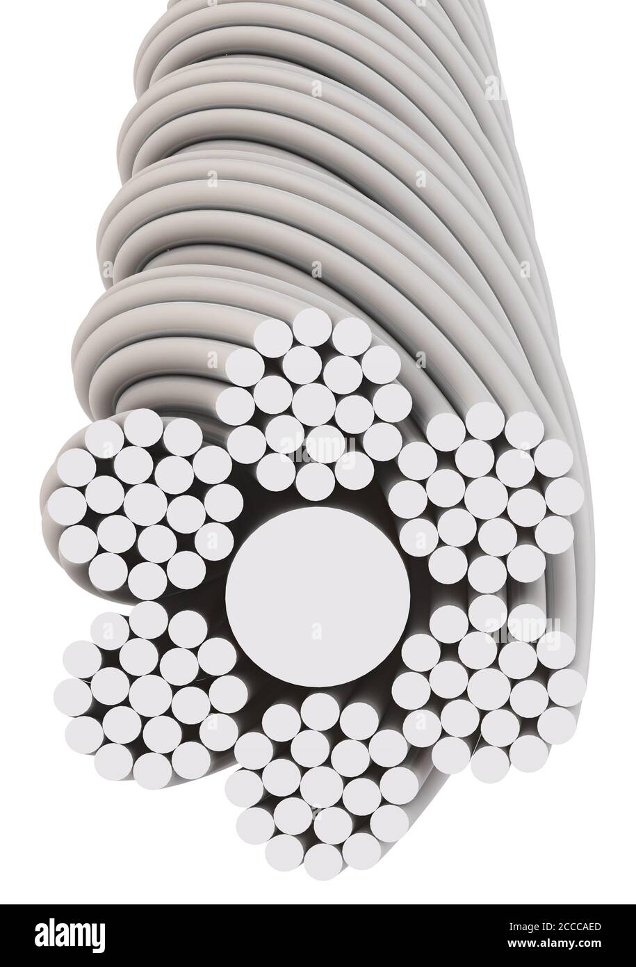 Wire rope. The cross section of the wire rope. Isolated. 3D illustration Stock Photo Alamy