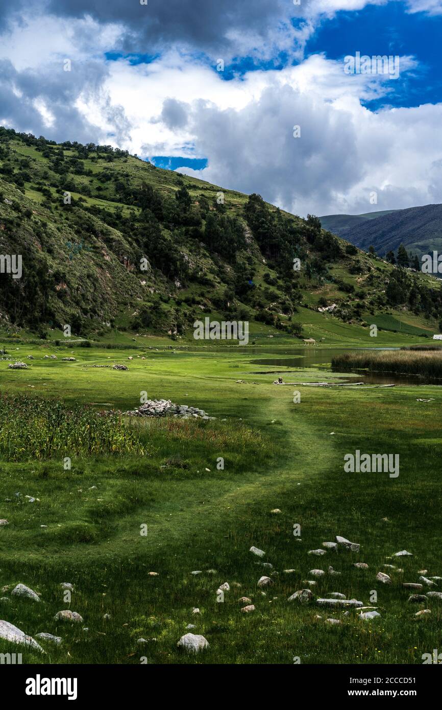 Beautiful landscape with greenery and trees under a cloudy sky Stock ...