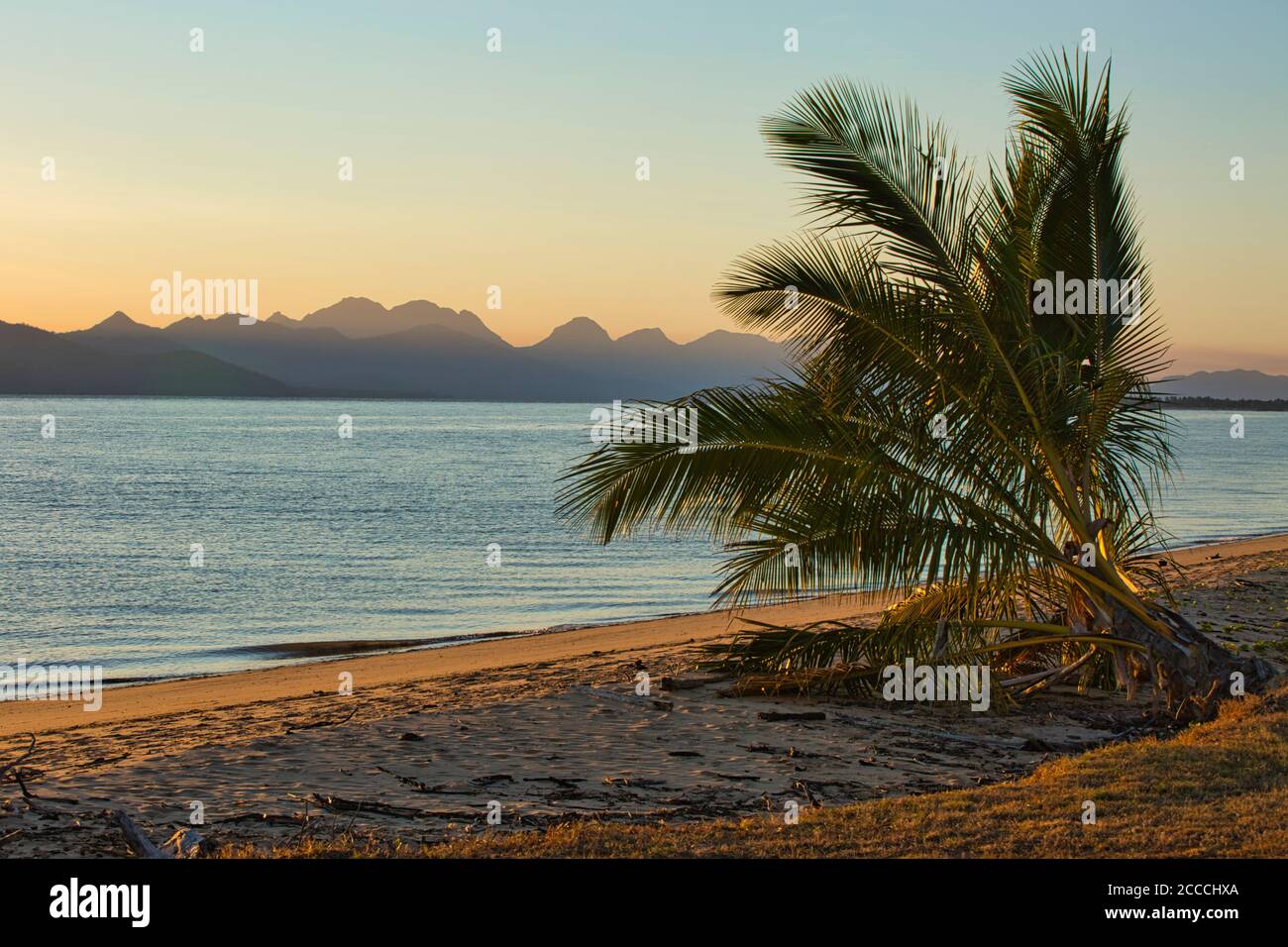 Early morning sun touching the fronds of palm tree with Hinchinbrook Island in background at Cardwell Queensland Australia. Stock Photo