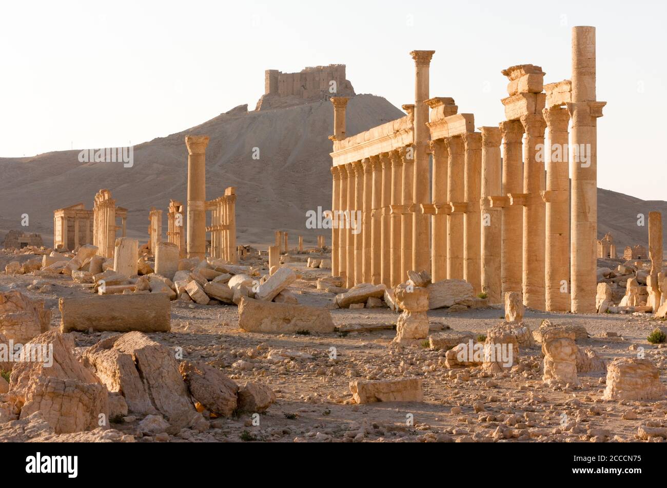 Palmyre Syria 2009 The ruins of an ancient city dating from the Roman period Stock Photo