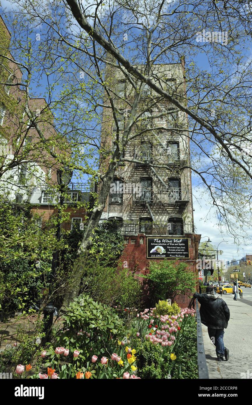 Garden bed with tulips in Hudson Square, next to The Wine Hut and