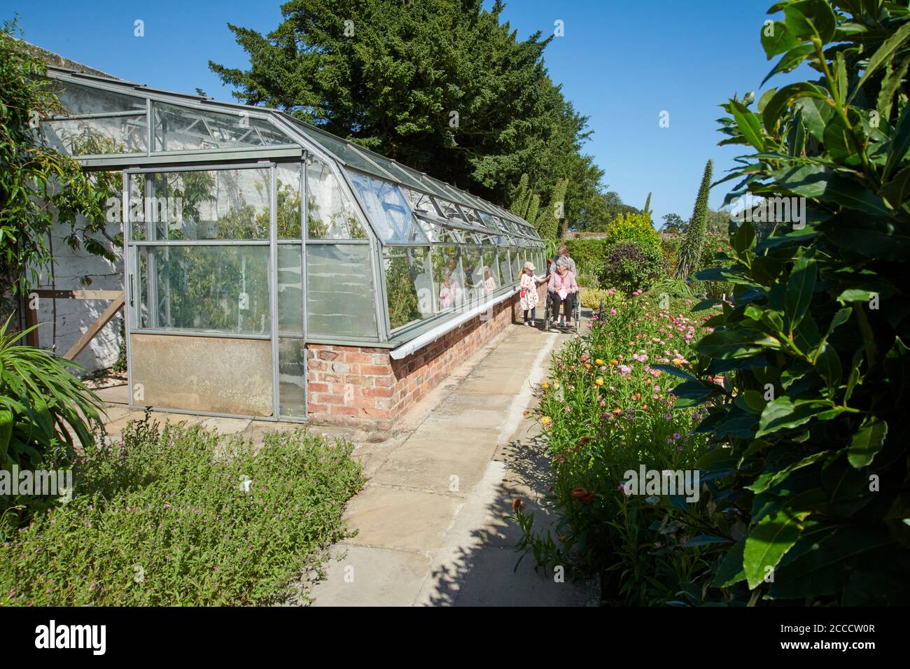 A beautiful summer walled garden border flowerbed display including various flowering plants and large south-facing greenhouse (Glasshouse) Stock Photo