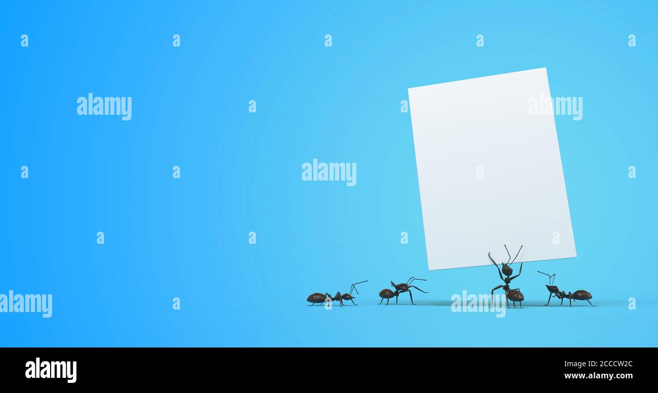 Sugar ants hires stock photography and images Alamy
