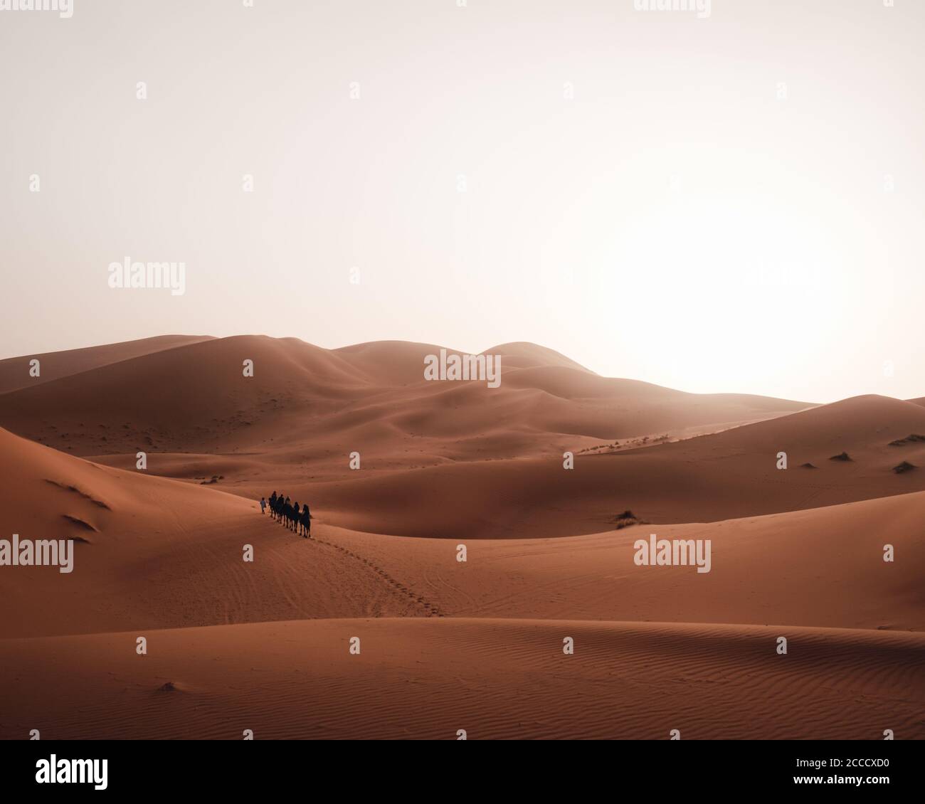 Beautiful scenery of sun rising over sand dunes in the Sahara desert ...