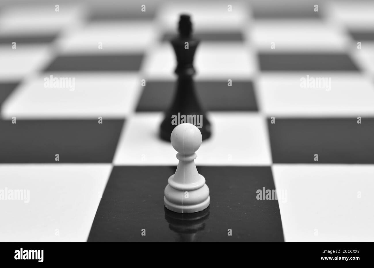 image shows a white pawn standing up to a black king. Image symbolizes bravery and sacrifice as the white pawn will likely be killed in the next move. Stock Photo