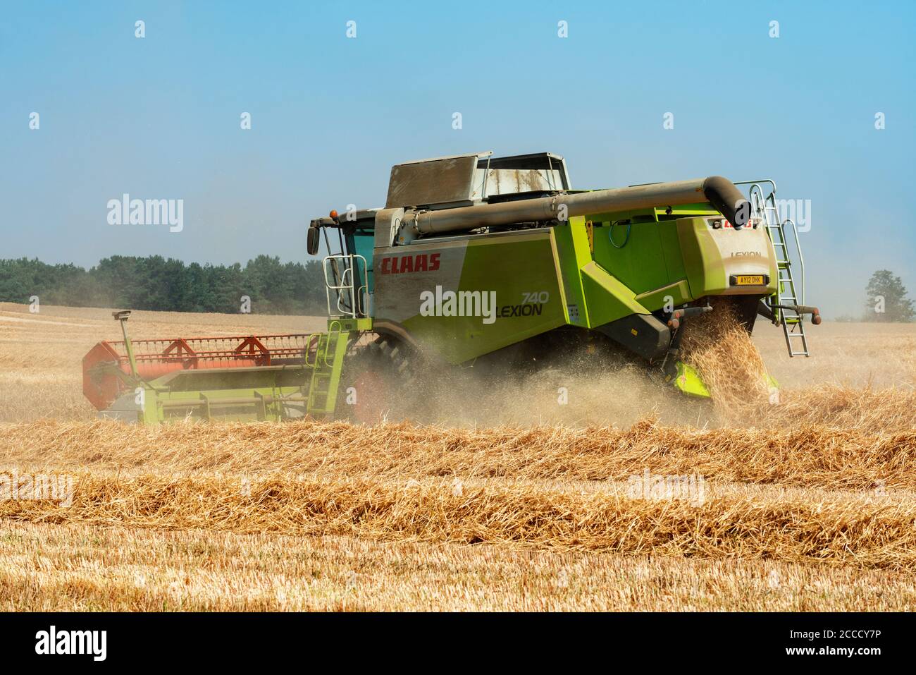 Wheat harvest Bawdsey Suffolk England Stock Photo