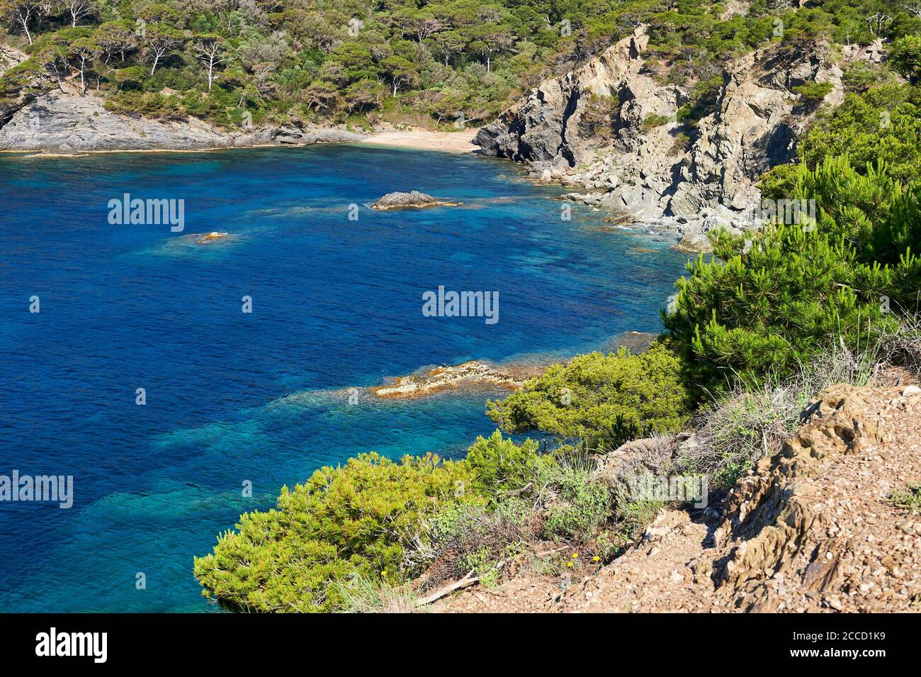 Hyeres (southeastern France) landscape of the Giens peninsula, pines