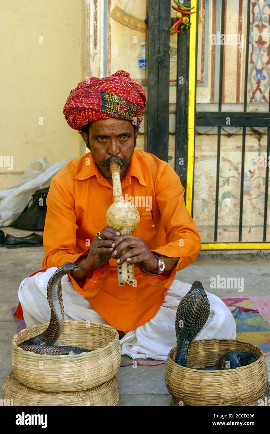 Snake Charmer Jaipur Stock Photo