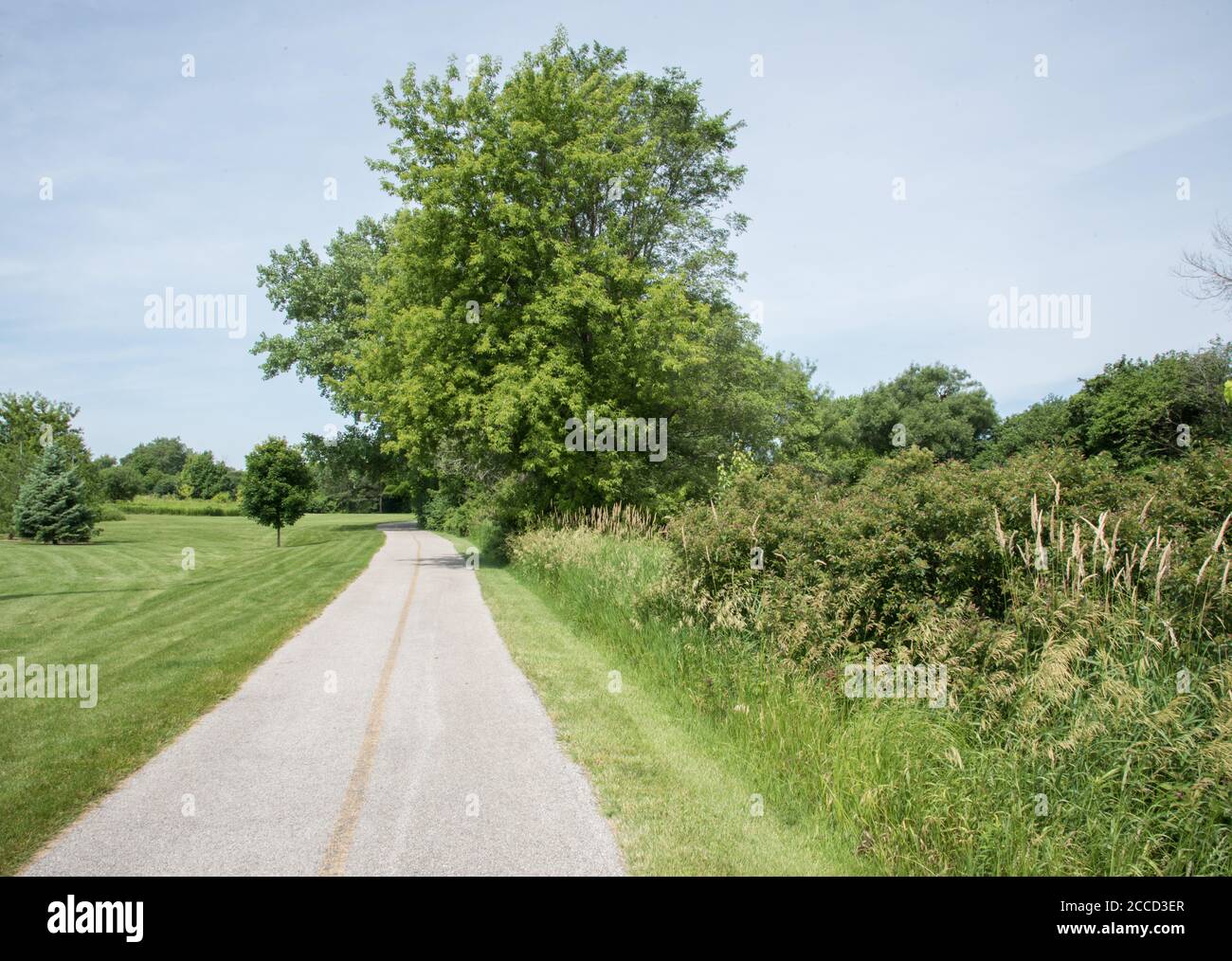 Bike and pedestrian path through the natural meadow and forest in nature reserve in Aurora, Illinois Stock Photo