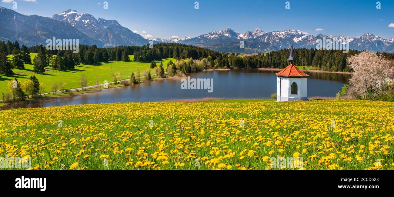 Panorama von Blumenwiese mit Kapelle im Frühling Stock Photo