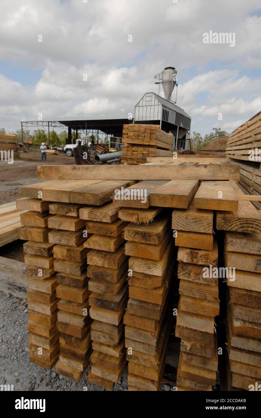 Orange, TX USA, November 10, 2006: Finished lumber at Rogers Lumber Company. The company processes pine lumber into rough-cut boards for the commercial construction industry. ©Bob Daemmrich Stock Photo