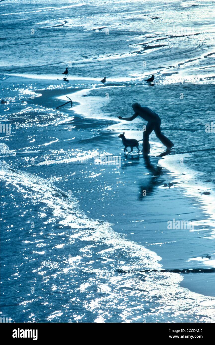 Silhouette of one man and his dog on the beach Stock Photo