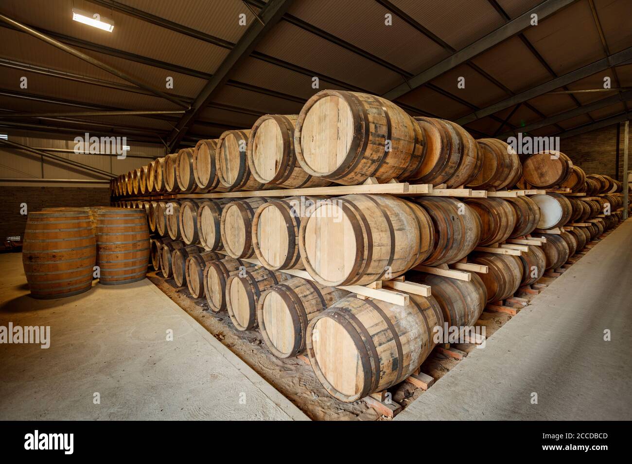 Rows of traditional full whisky barrels, set down to mature, in a large warehouse facility, with acute perspective Stock Photo